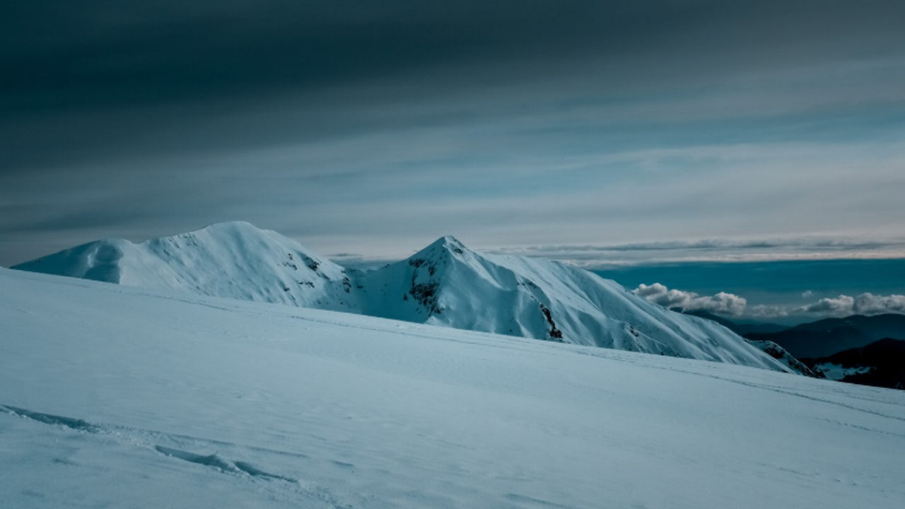 Вирус H5N1 впервые вызвал массовую гибель поморников в Антарктиде Исследователи впервые зафиксировали, что вирус ...