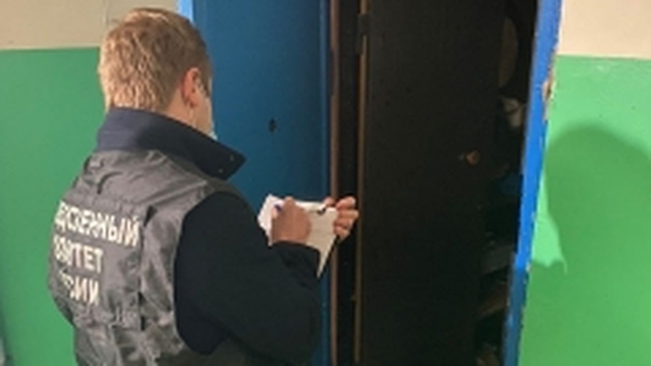 В Самарской области мужчина предстанет перед судом за жестокое убийство бабушки От нанесенных обвиняемым побоев скончалась 93-л...