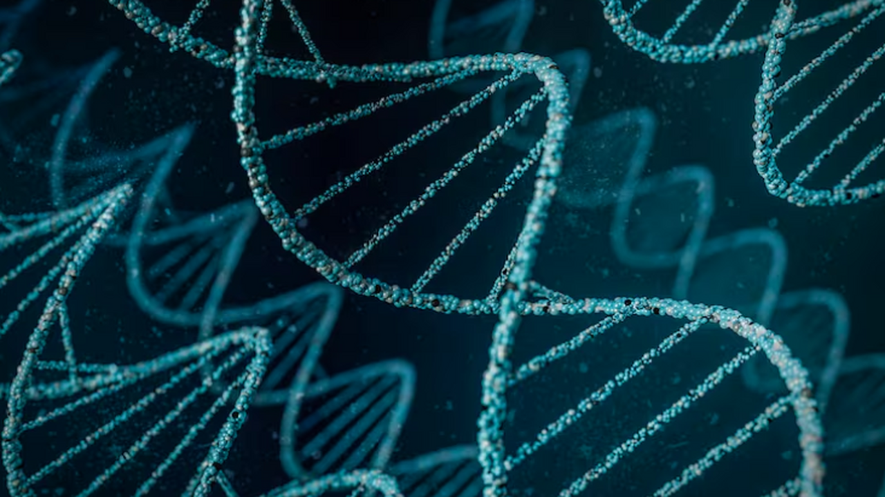 Genotek исследовал APOE и ЛПНП у народов России...