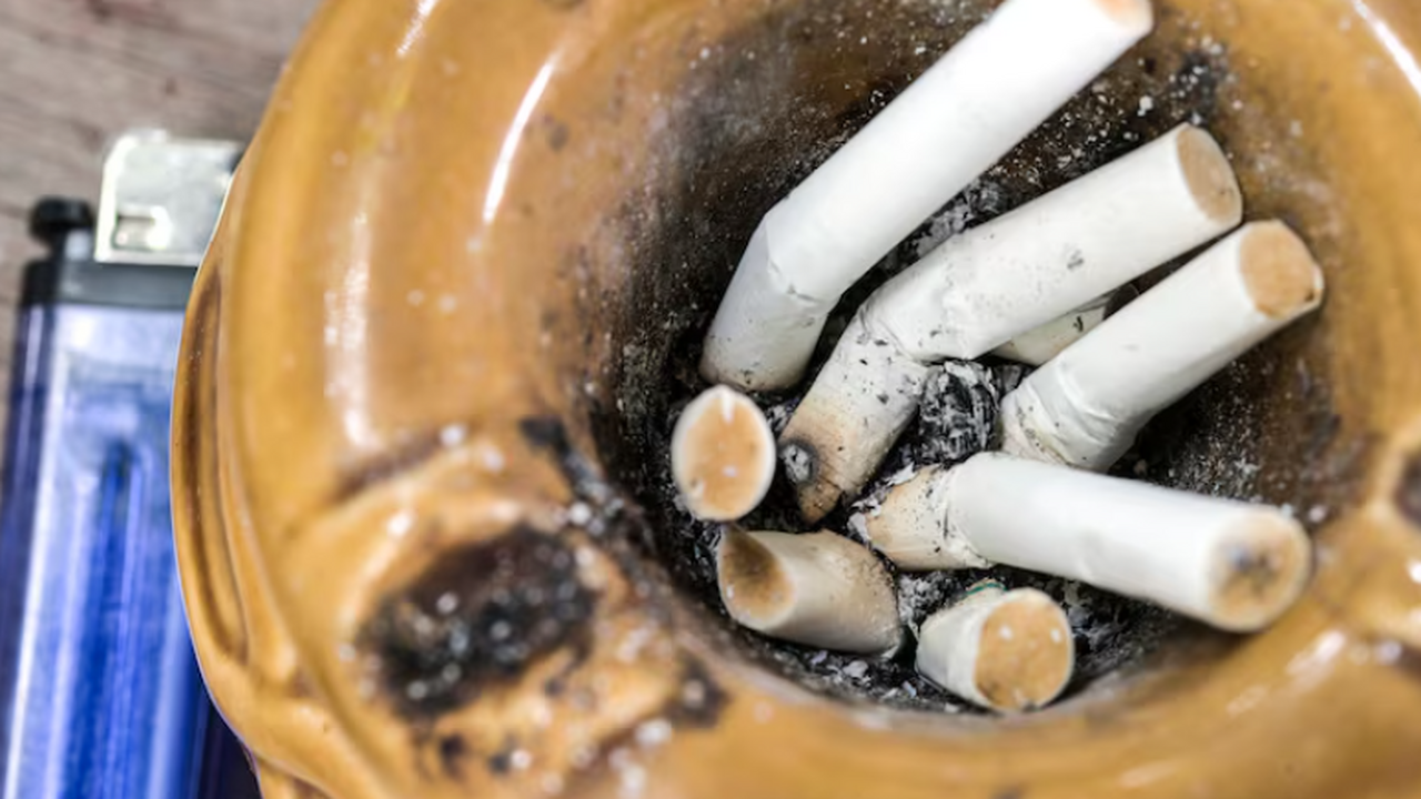 Исследование: в сигаретных окурках вдвое больше патогенов, чем в почве В окурках обнаружили большее разнообразие и кол...