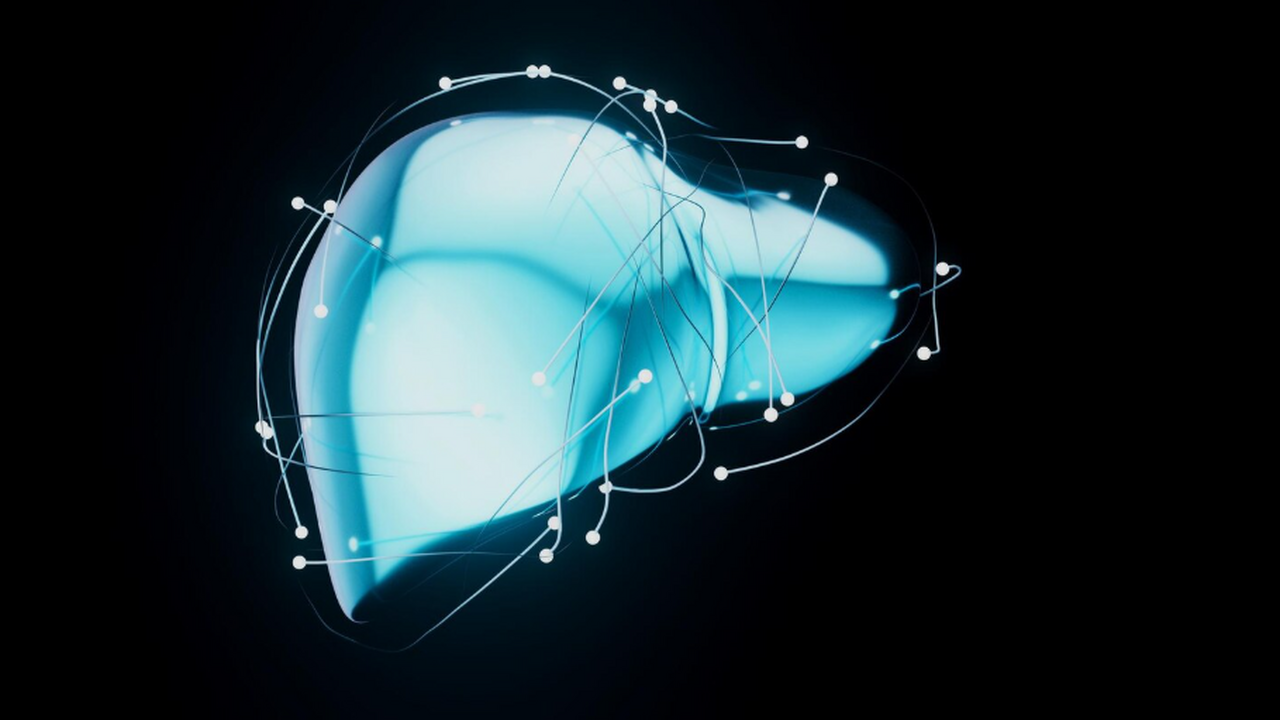 К 2050 году метаболические болезни печени затронут почти 2 млрд человек К 2050 году число случаев MASLD может достичь 1...