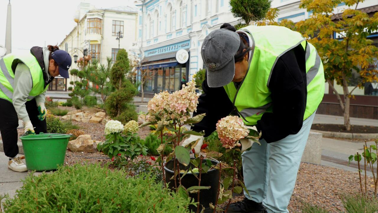 Администрация областной столицы объявило о торг...