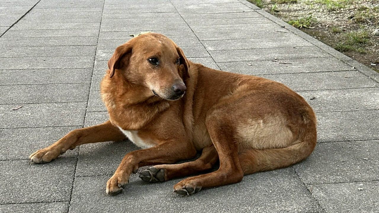 В селе Кротовка Самарской области обнаружен оча...