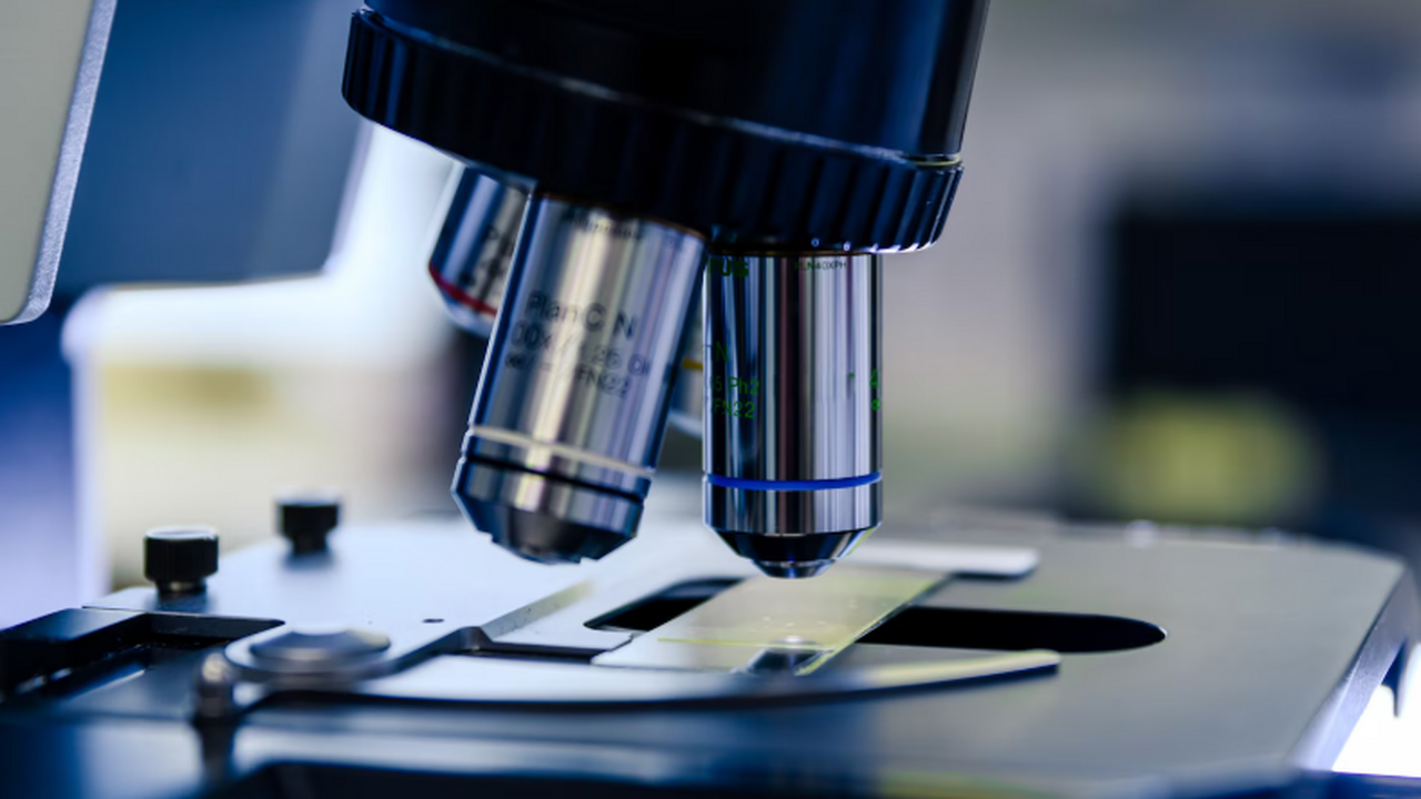 Тест-система для ранней диагностики рака эндоме...