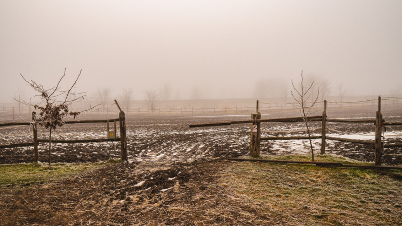Самарский нейросервис по спутнику выявляет заброшенные сельхозземли Самарский университет имени С. П. Королёва и ИТ...