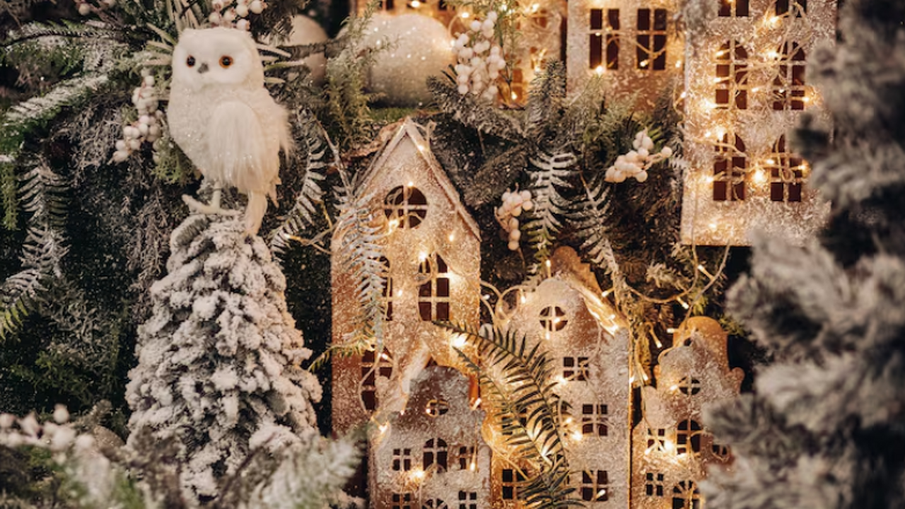 Ученые объяснили, как Рождество менялось в разн...