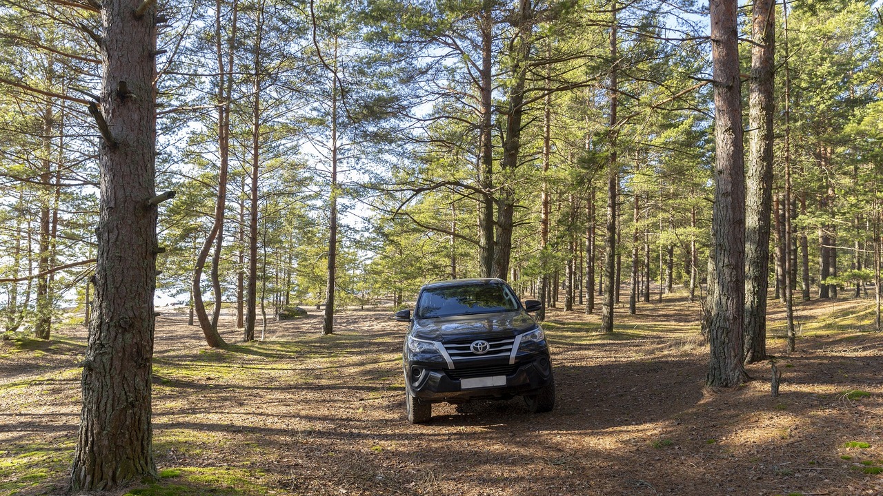 В Самаре серийному угонщику премиальных иномарок отказали в УДО Злоумышленник отдавал предпочтение бренду Toyota