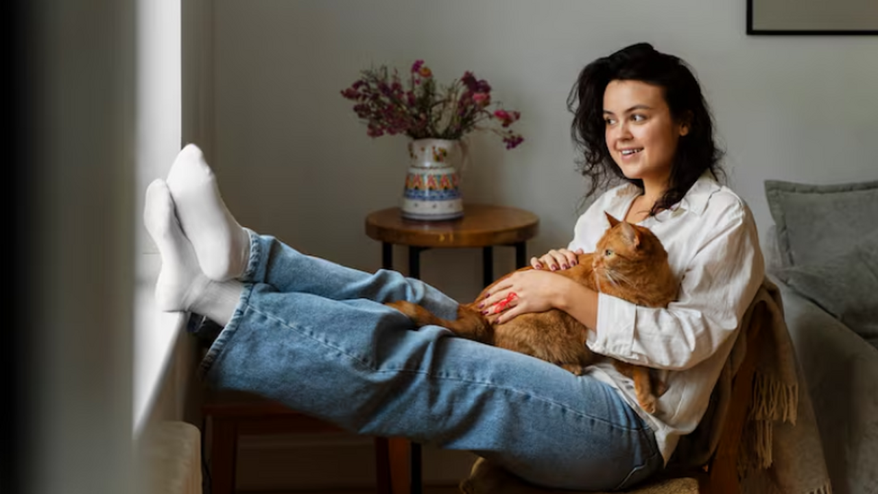 Исследование: наличие кошки в доме связали с ростом риска психрасстройств Ученые провели исследование, посвященное связи ...