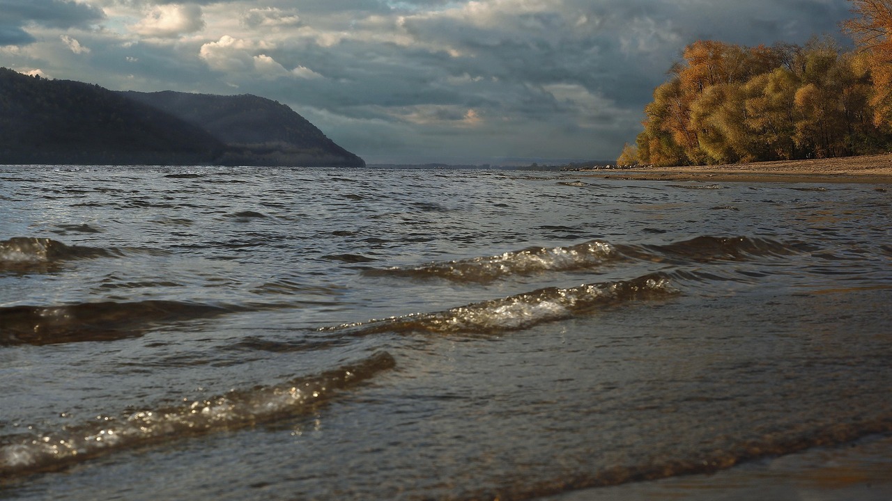 Собственник земельного участка обязан очистить ...