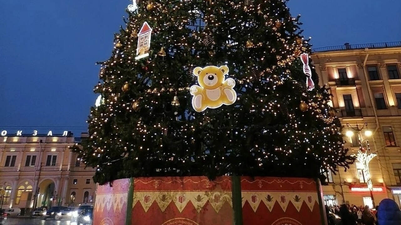 Семиметровые ели закупили для парков Самары к Новому году В Самаре активно осуществляется подготовка горо...