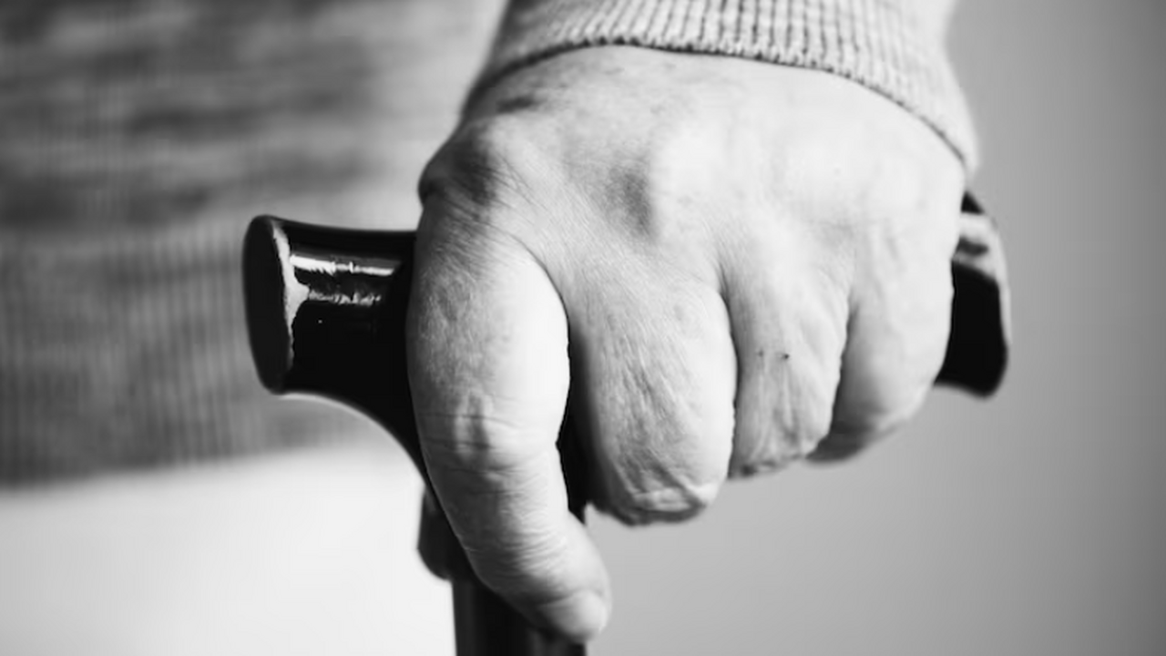 Life Biosciences получила одобрение FDA на тест...