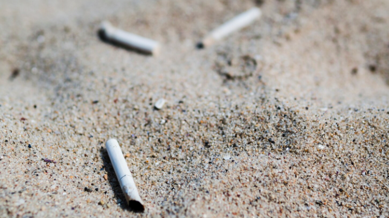 Исследование показало: сигаретные фильтры не исчезают и загрязняют почву По данным Naked Science, окурки не разлагаются ...