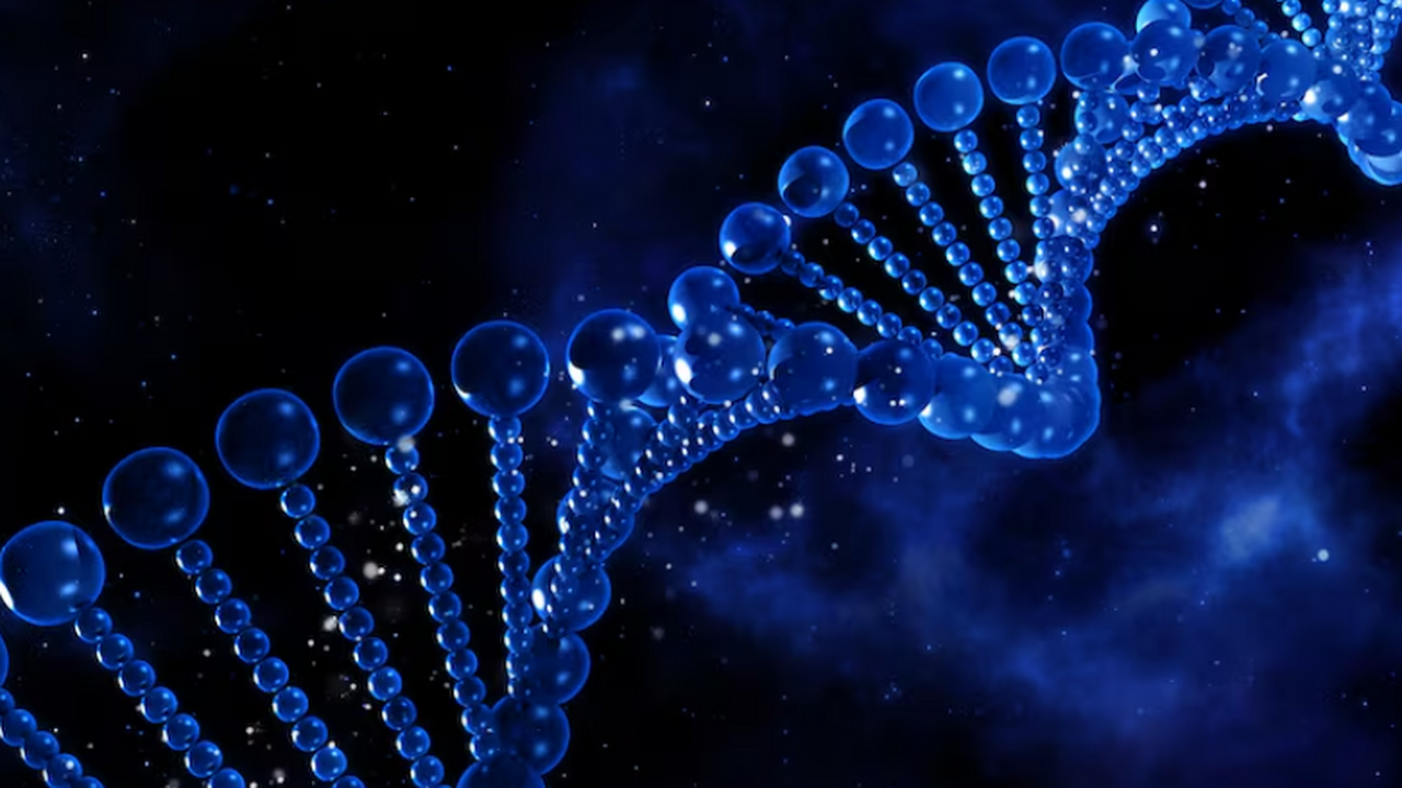 Учёные обнаружили у двух женщин из Италии древн...