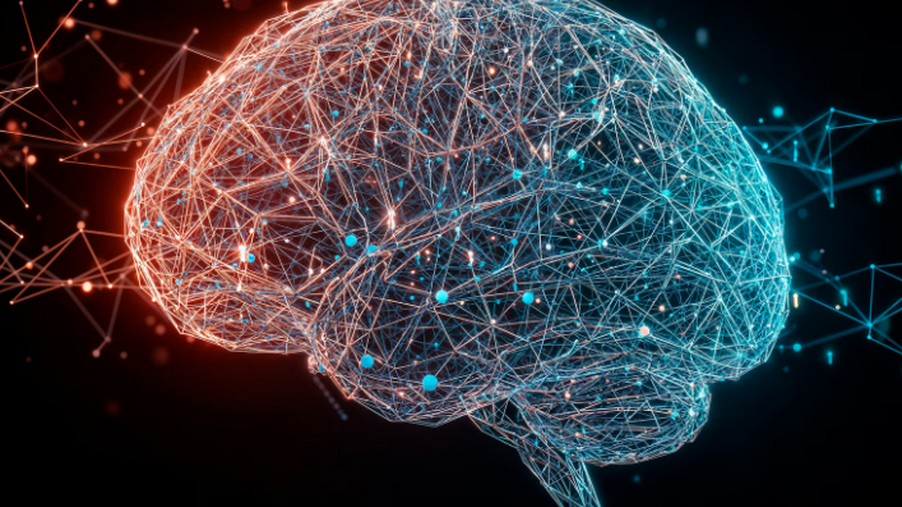 Frontiers: говядина активно поддерживает работу мозга женщин Журнал Frontiers in Nutrition сообщает: говядин...