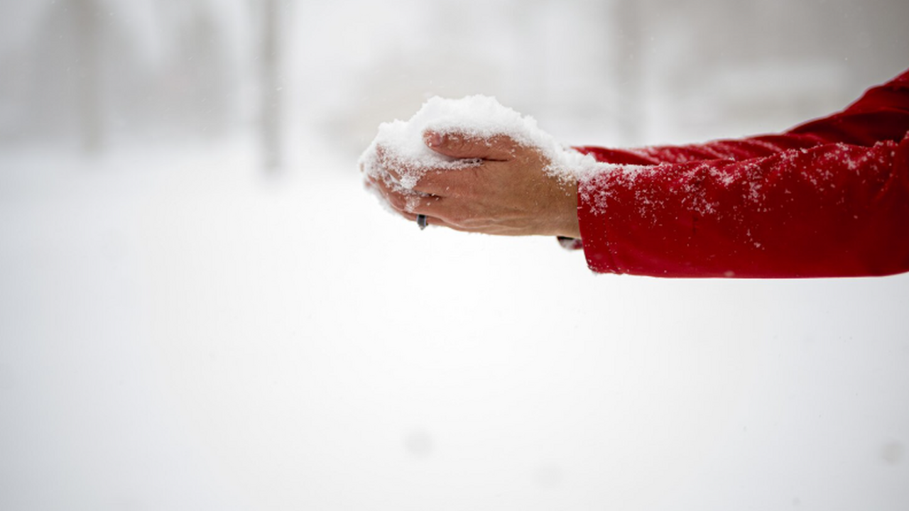 Токсиколог Михаил Кутушов пояснил, что ледяные ...