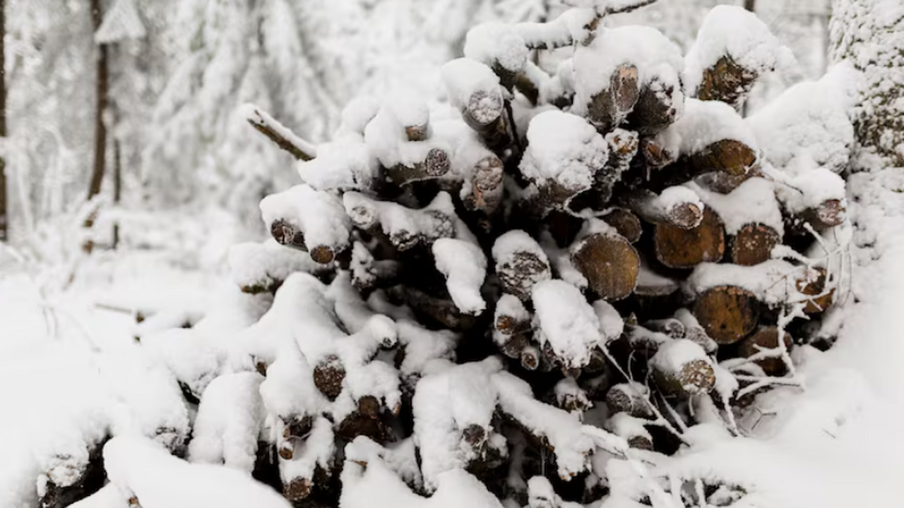 Сегодня в городе Самаре наблюдалось выпадение с...
