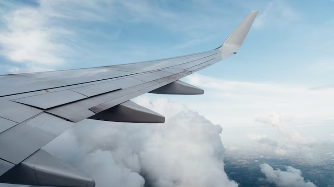 В 2025 году россиянам стали доступны несколько ...