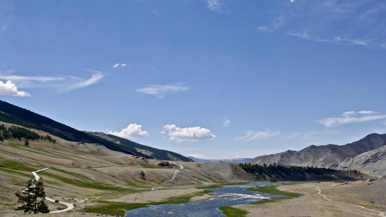 Обнаружено в урочище Боромбай (Чуйская область,...