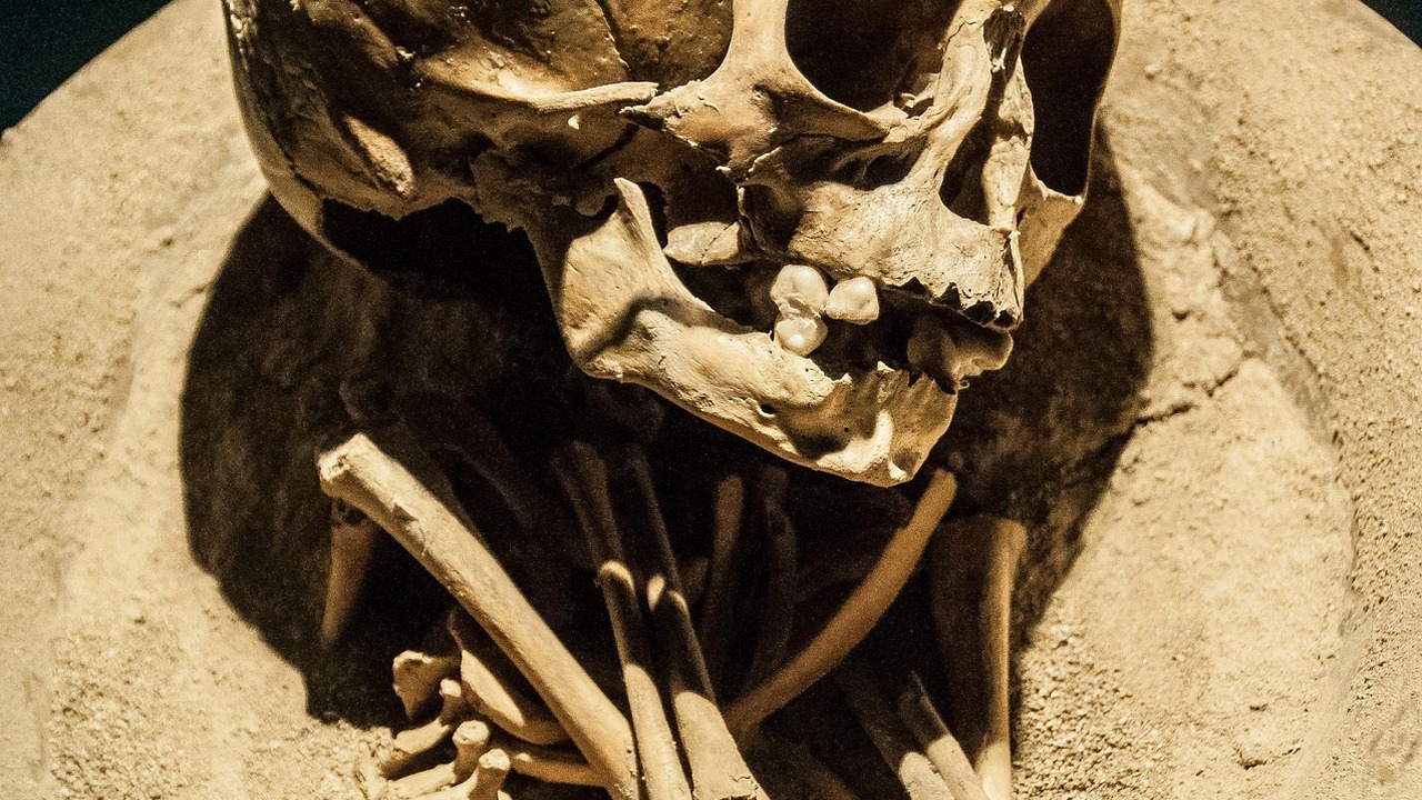 Исследование 889 захоронений не подтвердило эпидемию в Амарне Теория "чумы Ахетатона" была опровергнута