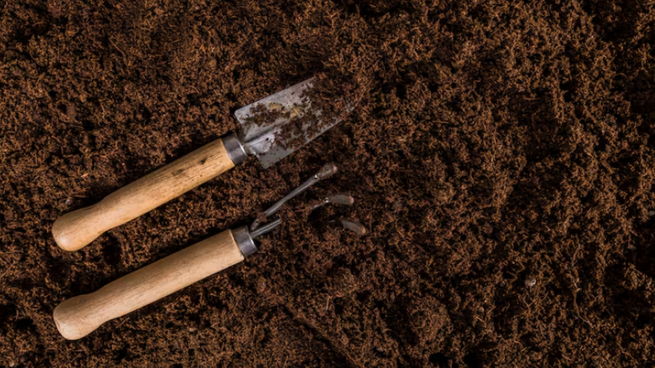 Аргентинские ученые показали, что глифосат повы...