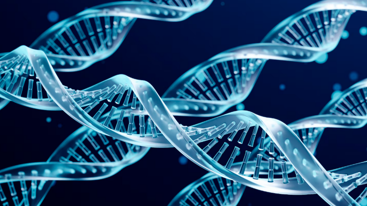 Генетические связи между древними популяциями П...