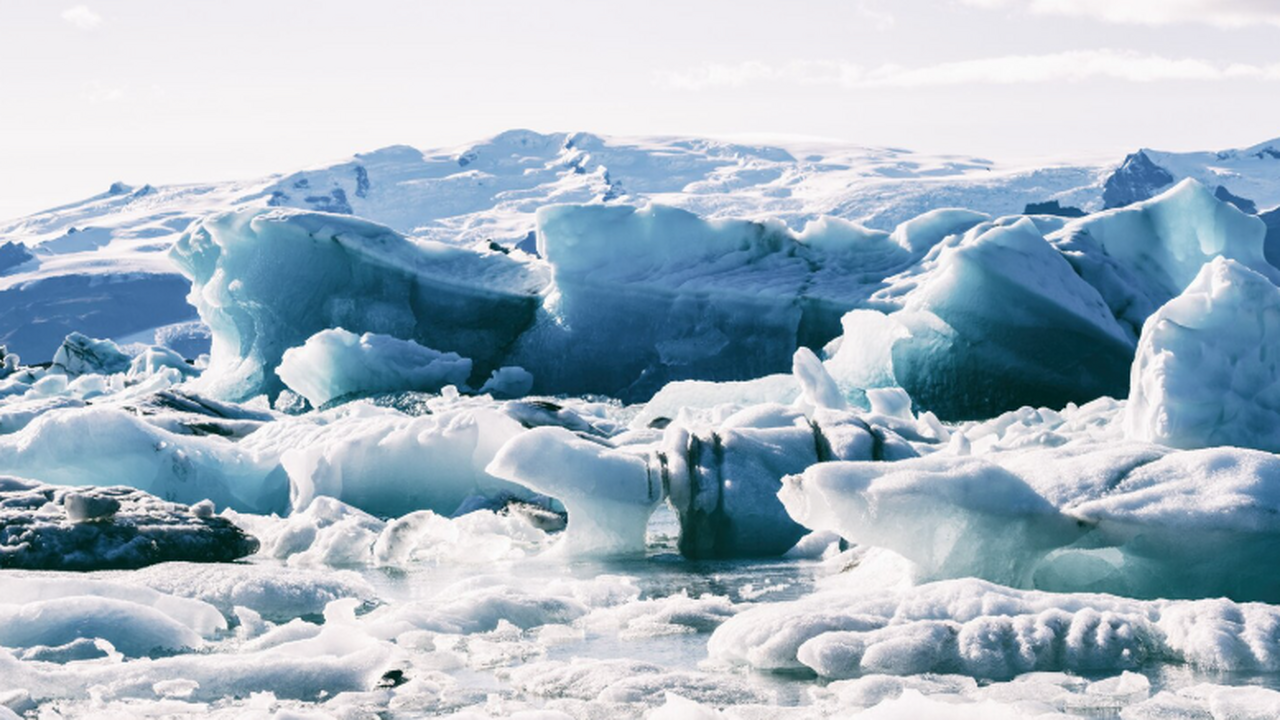 Андрей Рыбников рассказал, что искусственный ин...