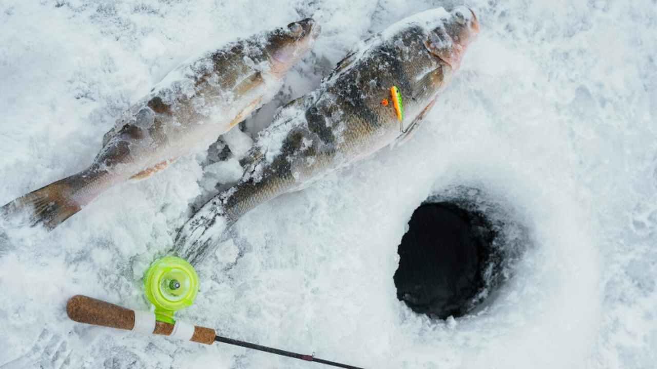 Трагедия на Волге: обнаружены тела пропавших рыбаков Ковалёвых Супругов Ковалёвых, пропавших на Волге в декабр...
