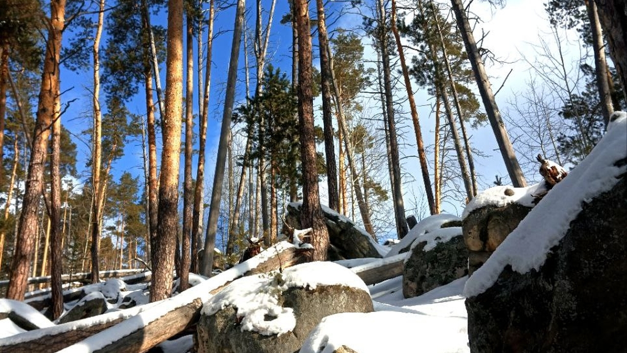 Цифровая экосистема МТС вывела в эфир еще неско...