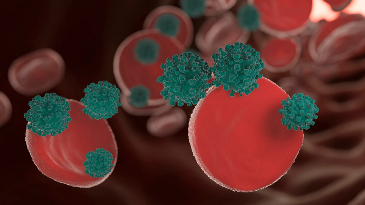 Nature: эксперты рассказали о ситуации, когда холестерин помогает иммунитету Исследование Техасского университета показало, ...