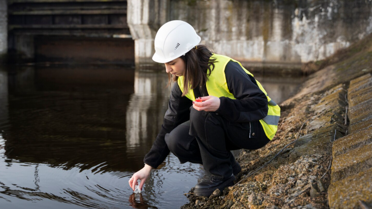 Учёные СФУ разработали адсорбент на основе лист...