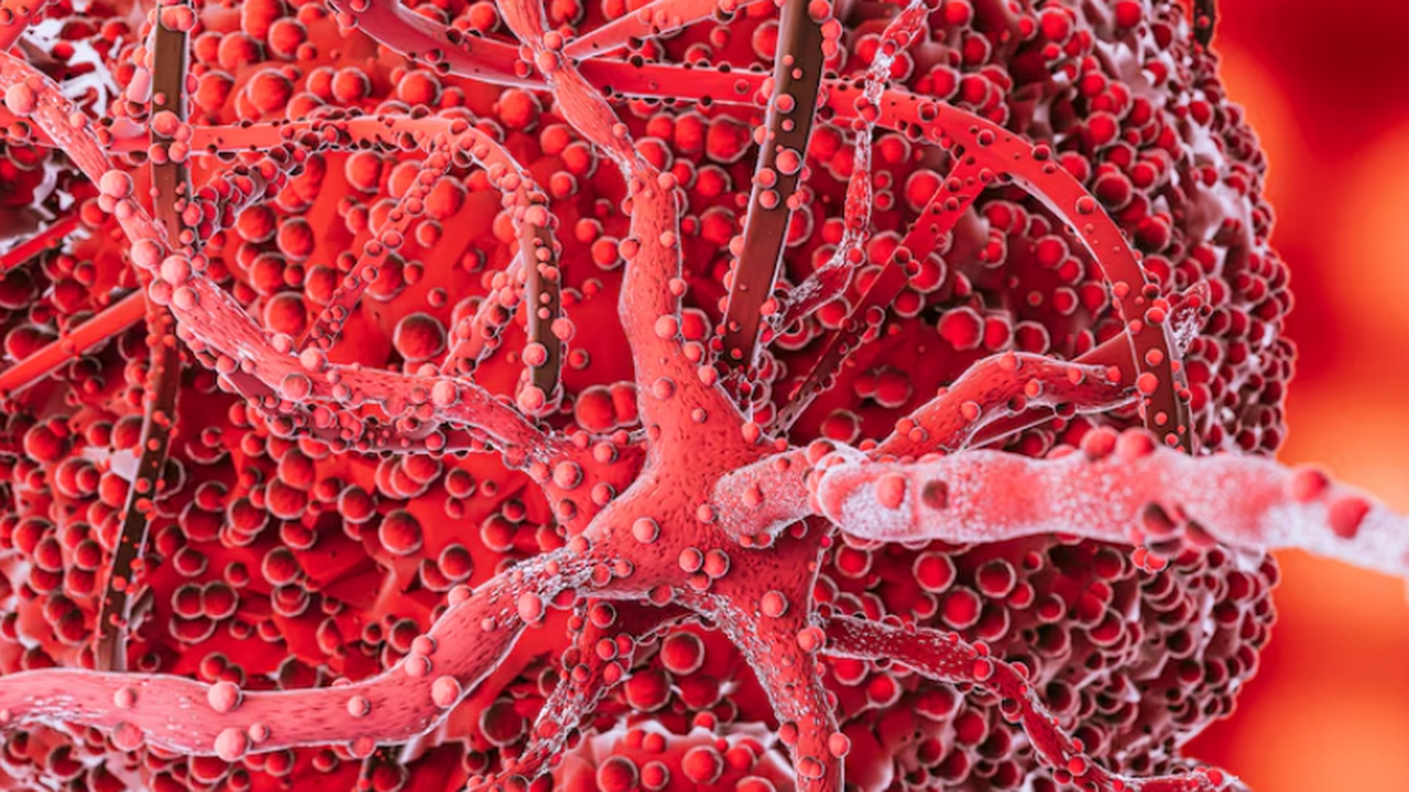 Белок из креветки помогает строить «карту» опухоли и оценивать лечение рака Данные люминесценции обрабатываются специальным...