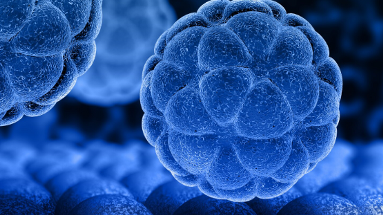 Исследование PNAS описывает четыре транскрипцио...