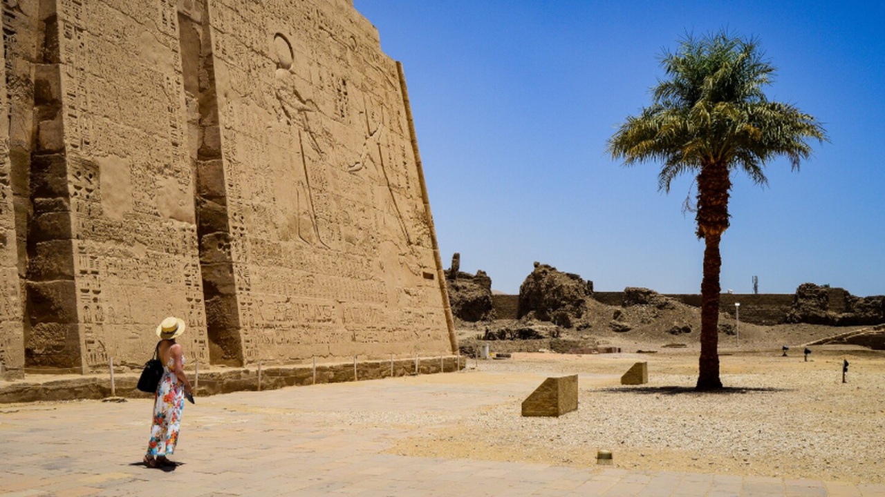 В Египте зафиксированы случаи вымогательства де...