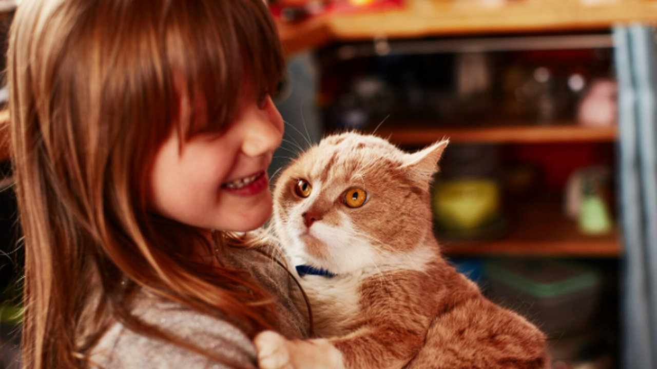 Учёные выяснили, какие инфекции чаще всего вызы...