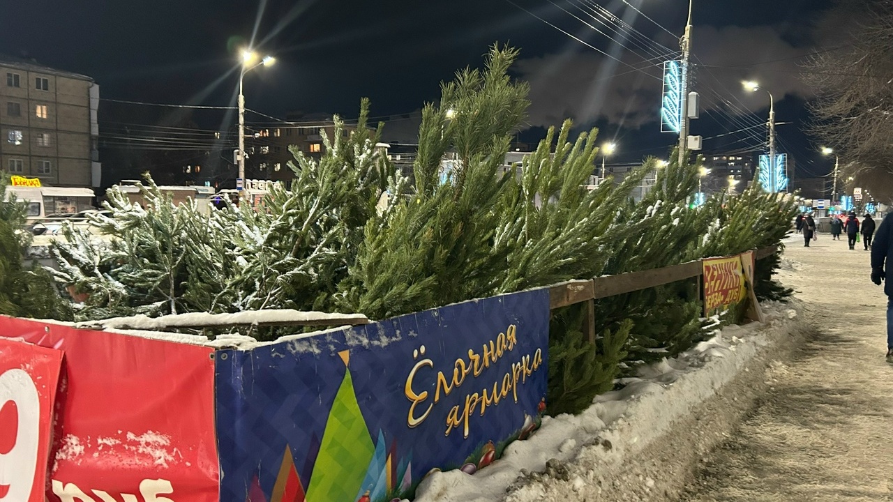 Самарцам дали рекомендации по выбору новогодней...