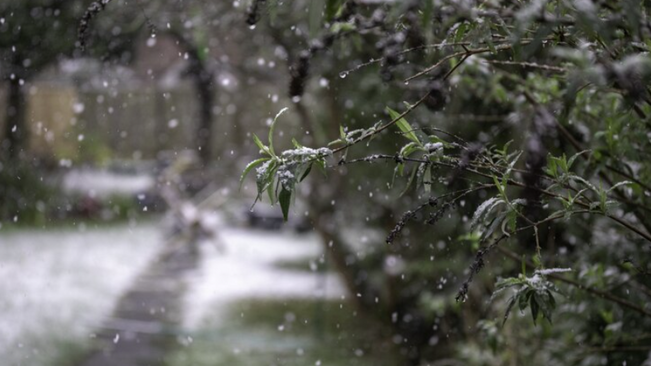 Из-за неблагоприятных метеоусловий в Самаре введут особый режим С 22 по 23 февраля 2026 года на территории Сама...