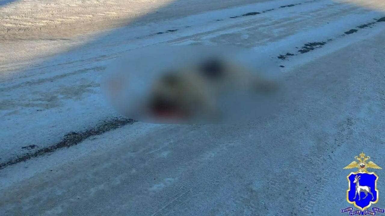 На массовые отравления в соцсетях пожаловались ...