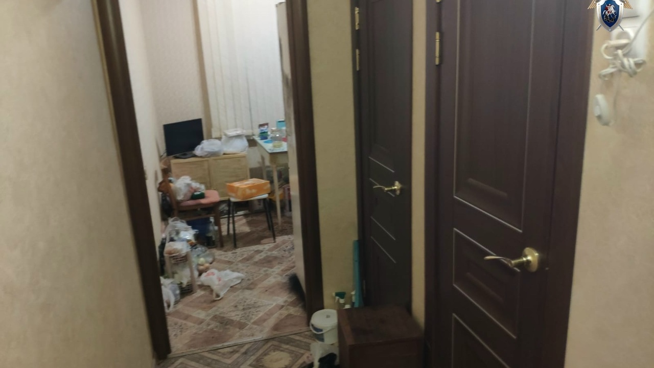 Ей предъявлено обвинение в убийстве отца и поку...