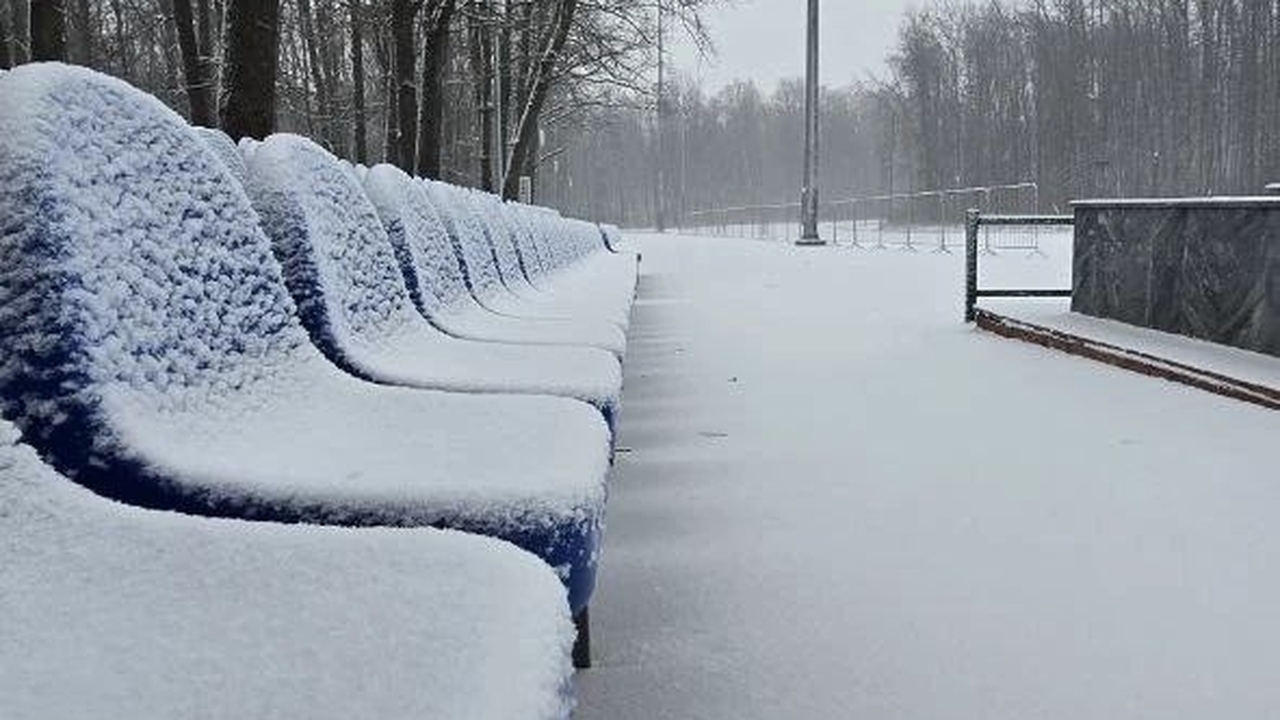 «Чайка» в Самаре запускает лыжный прокат: зимний спорт стал доступен каждому Лыжероллерная трасса открыта с 08:00 до 21:00