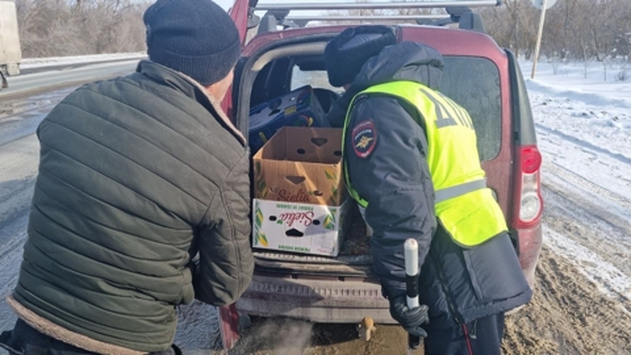 В Самарской области за выходные выявили более 1500 нарушений ПДД Рейды проходили в период с 20 по 23 февраля