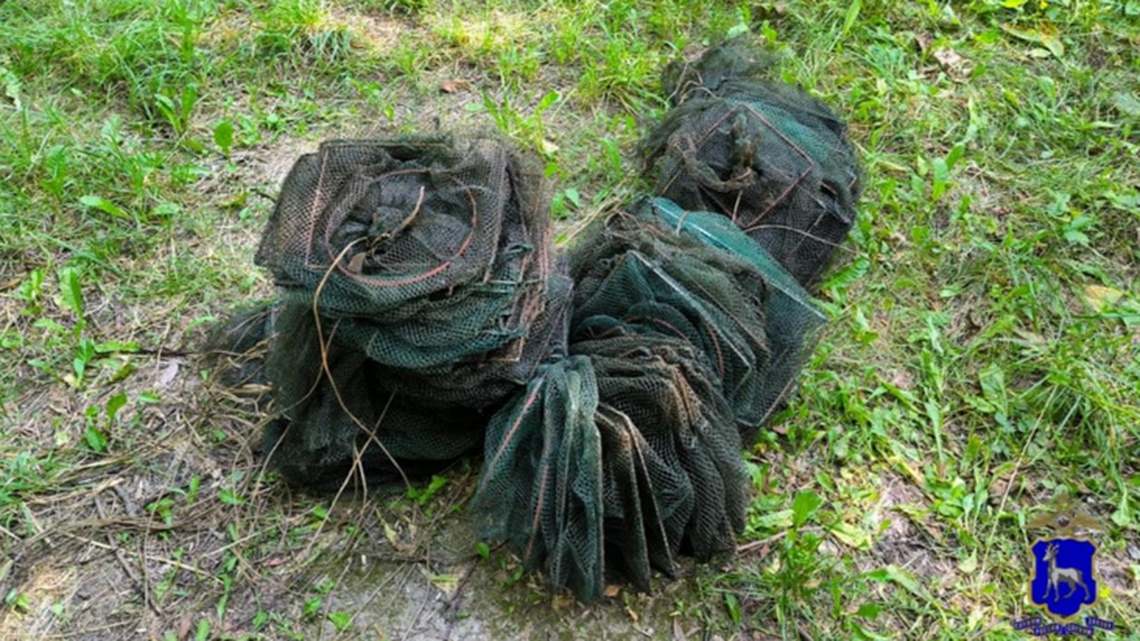 В Кошкинском районе попался браконьер, погубивш...