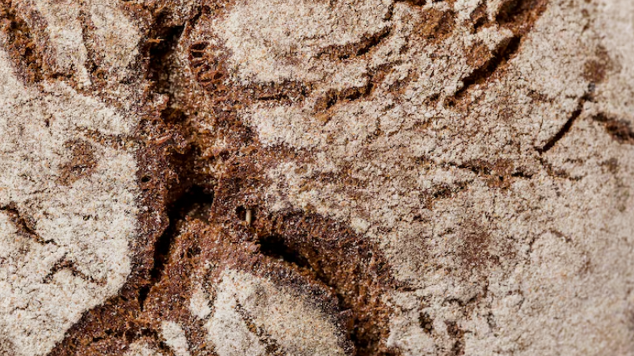 Ученые открыли две новые стоянки — Сорокин и Те...