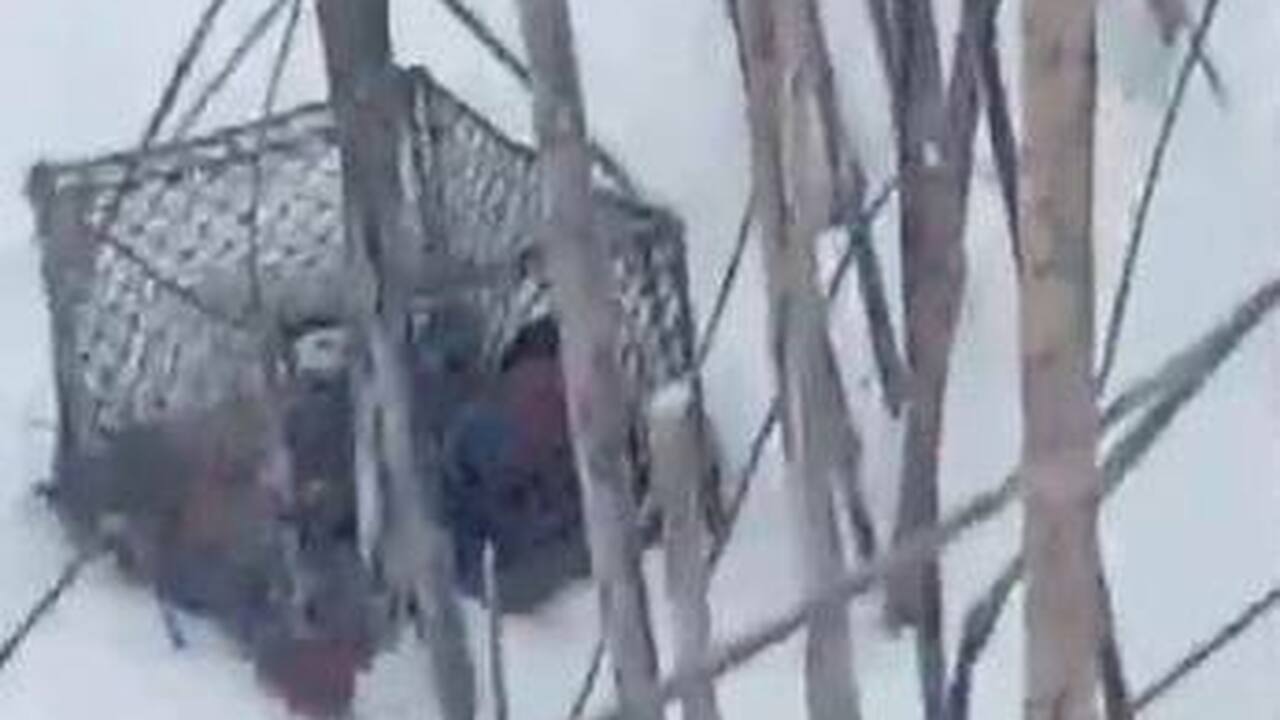 В Минприроды возбудили административное произво...