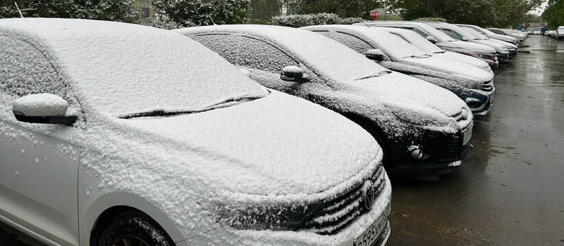 Мокрый снег и дожди накроют Самарскую область в начале ноября Приволжское УГМС предупреждает: 1 ноября в Сама...