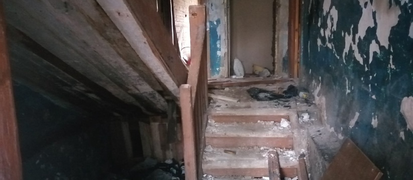 Тараканы и мухи: В Тольятти женщину заставили убрать свою квартиру