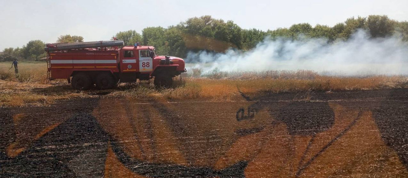 В Самарской области 5 июля вспыхнуло пшеничное поле на площади 40 Га