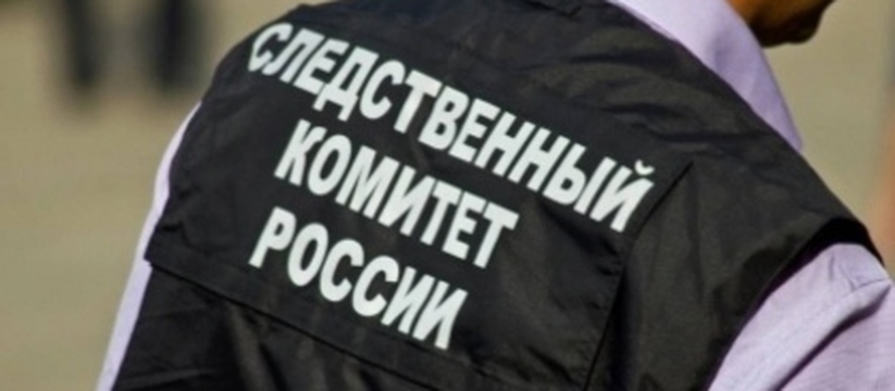 В Самарской области объявилась пенсионерка-экстремистка В области объявилась пенсионерка-экстремистка