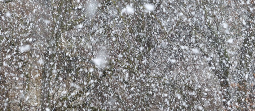 Приволжским УГМС из-за снегопада объявлен желты...