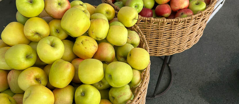 Врач-дерматолог Назайкинская советует включать ...