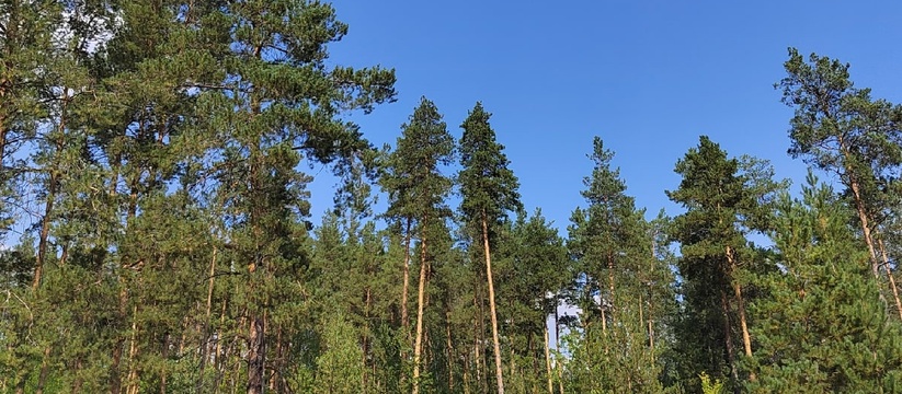 Стало известно, где в Самарской области опаснее...